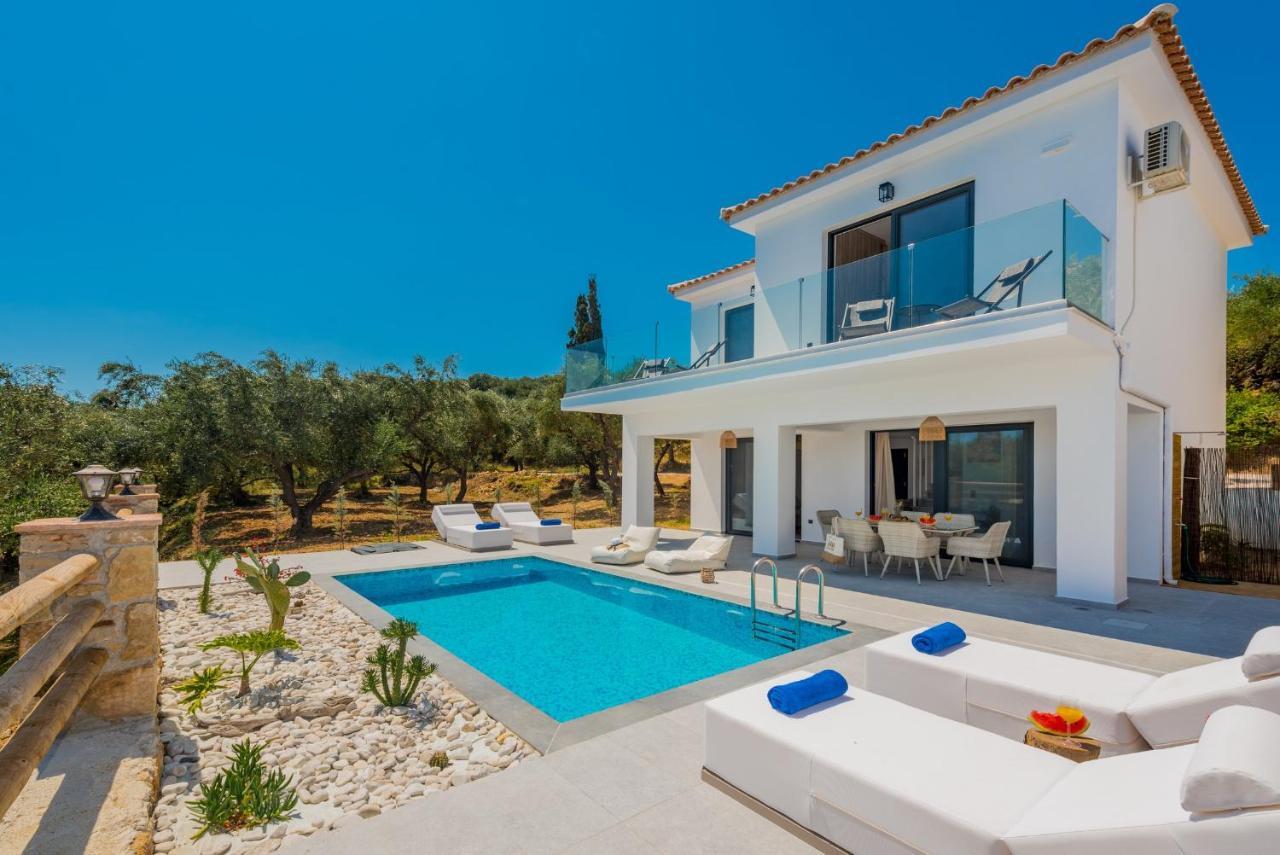 Queen Of Zakynthos Luxury Villas Amoudi Eksteriør billede